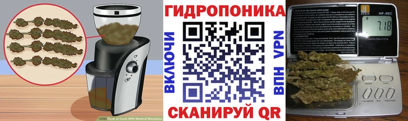 Cannafood марихуана  Купить закладки  Вольск 