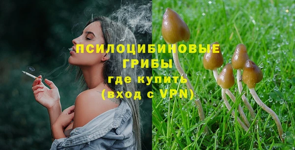 ALPHA PVP Каменногорск
