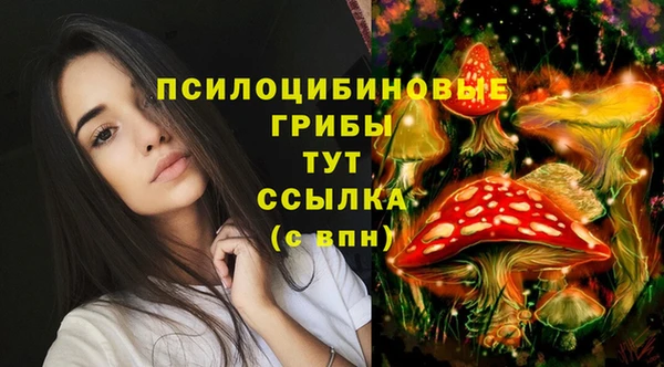 кристаллы Каменка